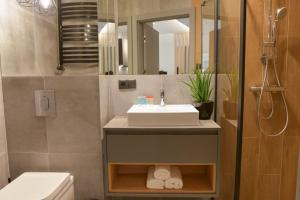 Ένα μπάνιο στο Apartament Prywatny Stone Hill Rackiewicz z basenem +21 φωτογραφίες