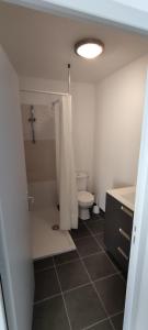 謝爾河畔努瓦耶的住宿－Noyers Val de Cher，浴室配有卫生间、淋浴和盥洗盆。