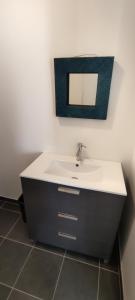 a bathroom with a sink and a mirror on the wall at Noyers Val de Cher in Noyers-sur-Cher