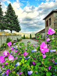 Zahrada ubytování Papigiotis Hotel