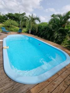 a large blue swimming pool on a wooden deck at Le Goyav' appart avec piscine et jacuzzi au Vauclin in Le Vauclin