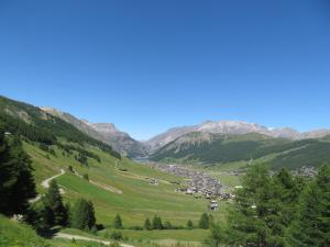 a village in a valley with mountains in the background at Garni Gimea in Livigno