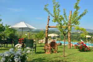 a garden with chairs and an umbrella and a pool at Fattoria Antonella in San Gimignano