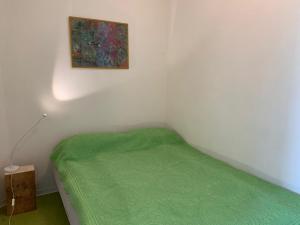 a small bedroom with a green bed and a painting at Ferienwohnung Fuchsbau in Brombachtal