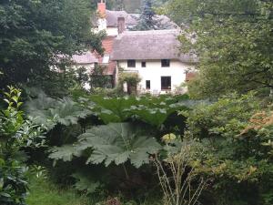 an old house in the middle of a garden at The woodstore in Dunkeswell