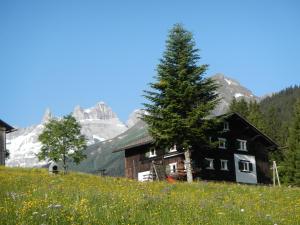 a house on a hill with a tree in a field at Ferienhaus Vollspora in Tschagguns