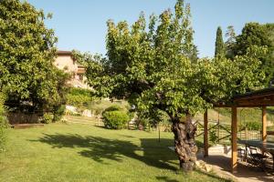 A garden outside Toscana da Sogno a Villa Allegria