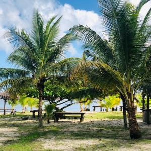 a park with palm trees and benches on the beach at Bella Gamboa casa de praia !Gamboa in Gamboa