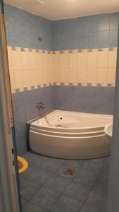 Koupelna v ubytování The Historical Family House-Cluj Napoca center