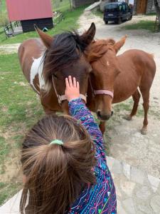 Gallery image of Etno Village Vojnik in Šavnik +69 photos