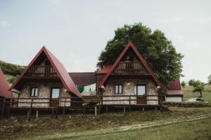 Šavnik的住宿－Etno Village Vojnik，一座大型木房子,设有红色屋顶