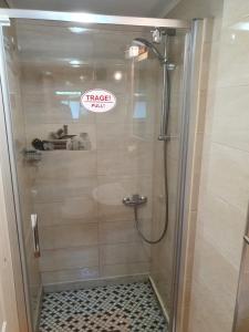 eine Dusche mit Glastür im Bad in der Unterkunft Pension Agnes in Vişeu de Sus