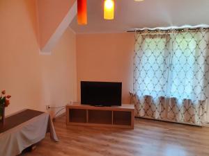 ein Wohnzimmer mit einem TV auf dem Tisch in der Unterkunft Pension Agnes in Vişeu de Sus