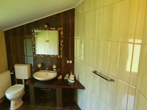 ein Badezimmer mit einem Waschbecken, einem WC und einem Spiegel in der Unterkunft Pension Agnes in Vişeu de Sus