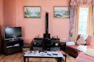 a living room with a couch and a tv at Glenhill B&B in Wexford