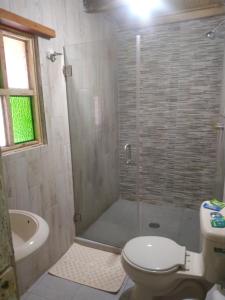 a bathroom with a shower with a toilet and a sink at Hotel Rincon Del Real in Mineral del Monte