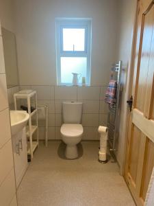 a bathroom with a toilet and a sink and a window at Hillview Cottage in Bantry