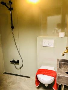 Kylpyhuone majoituspaikassa Houseboat Tante Piet