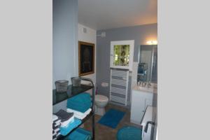 a bathroom with a toilet and a sink at LE COTTAGE DES SABLONS près du zoo de Beauval in Saint-Romain-sur-Cher