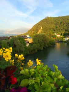 Blick auf einen Fluss mit Blumen im Vordergrund in der Unterkunft Hotel-Gasthof Restaurant Murblick in Judenburg