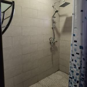 ein Bad mit Dusche und Duschvorhang in der Unterkunft Casa da Sogra - Apartamento 2 in Faja Grande