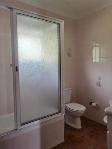 a bathroom with a toilet and a glass shower door at Casa da Sogra in Faja Grande