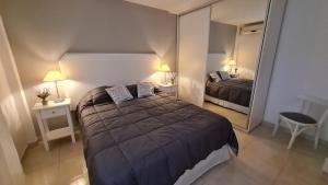 拉里奥哈Nidale Suites 2的一间带大床和大镜子的卧室