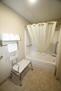 a bathroom with a shower curtain and a bath tub at Bowman Inn and Suites in Bowman
