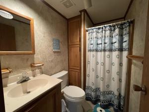 a bathroom with a toilet sink and a shower curtain at SOUTHERN STAR cottage in Hatteras +11 photos