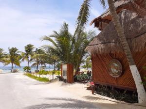 a building on the beach with palm trees and the ocean at Cabañas Palmeras de Mahahual in Mahahual
