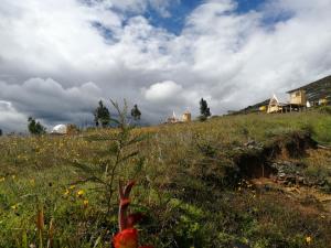 Naturlandschaft in der Nähe der Zelt-Lodge