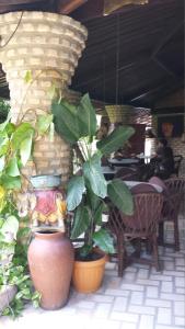 Fotografie z fotogalerie ubytování Pousada Coco Fresco v destinaci Pipa