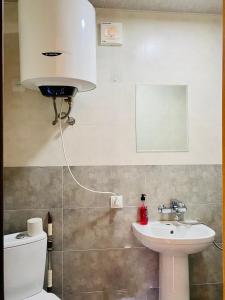 a bathroom with a white toilet and a sink at Ushguli Cabins in Ushguli