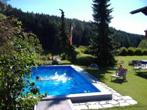 basen w ogrodzie z ludźmi w nim w obiekcie Apartment - Ferienwohnung Elisabeth w mieście Radstadt