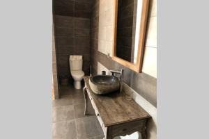 a bathroom with a sink and a toilet at Maison au pied des dunes, 200m de la plage in Montmartin-sur-Mer