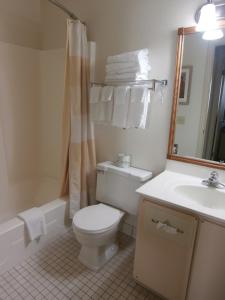 a bathroom with a toilet and a sink and a shower at Clinton Inn & Suites in Port Clinton