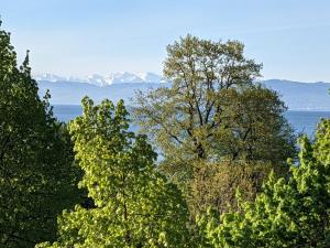 a group of trees with the ocean in the background at Ferienwohnungen Vera & Lea in Friedrichshafen