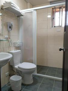 a bathroom with a shower and a toilet and a sink at East Mountain Light Brigade in Nangan