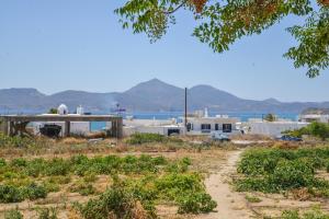 Naturlandskabet i nærheden af lejligheden