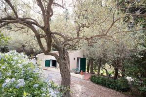 una casa en medio de un bosque de árboles en B&B Don Gaspano en Milazzo