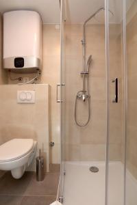 a bathroom with a shower and a toilet at Villa Carrara in Trogir