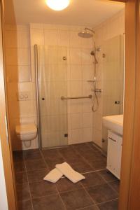 a bathroom with a shower and a toilet and a sink at Landhotel Traube in Seewald