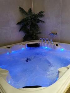 een hot tub met blauwe verlichting in de badkamer bij Mica beauty & wellness center in Temse