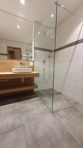 a bathroom with a glass shower and a sink at Der Adler in Lauchringen +24 photos
