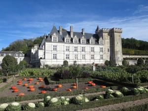 a large building with a bunch of pumpkins in a garden at La CASITA in Bléré