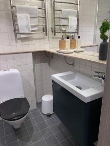 a bathroom with a sink and a toilet and a mirror at Åkulla Outdoor Resort in Rolfstorp