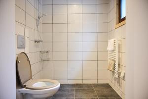 a bathroom with a toilet and a shower at Vert Lodge Chamonix in Chamonix-Mont-Blanc