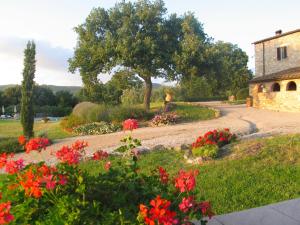 A garden outside Holiday Home San Lorenzo-3 by Interhome