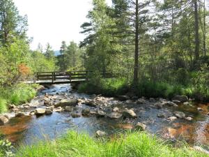 un pont sur une rivière avec des rochers et des arbres dans l'établissement Chalet Sandrabu - SOW056 by Interhome, à Øyuvstad
