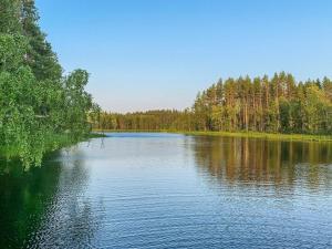 un grand lac avec des arbres sur son côté dans l'établissement Holiday Home Majavanpesä by Interhome, à Virtasaari
